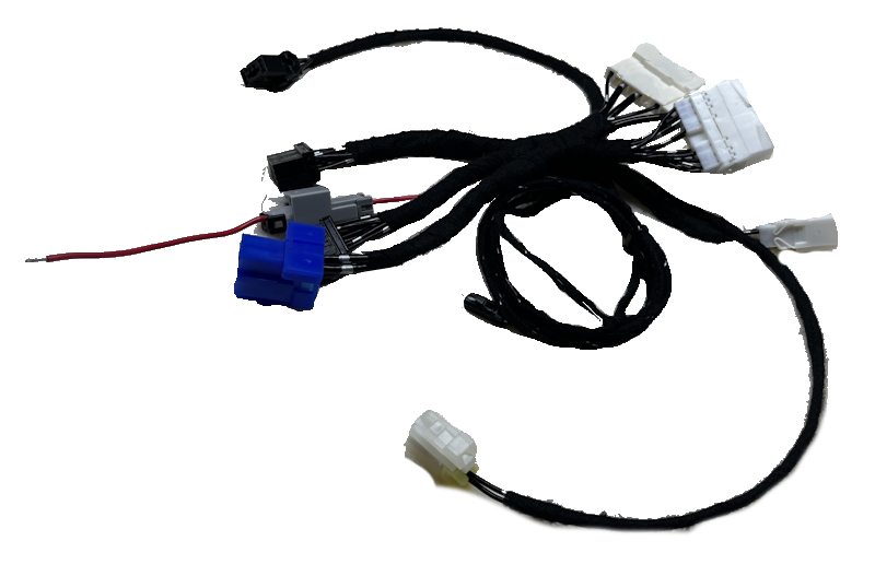 Black Plug - Digital Climate Control Harness